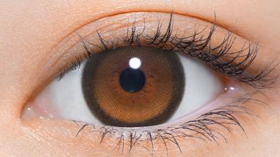 サニーベア 装用画像