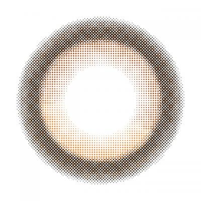 サニーベア レンズ画像