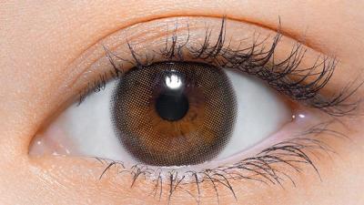 テディブラウン 装用画像