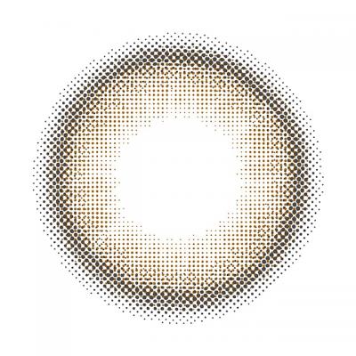 テディブラウン レンズ画像