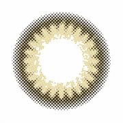 プティア 1day セピアピクト 10枚入