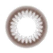 プティア 1day トラッドシック 10枚入
