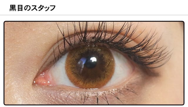 スタッフ0の装着画像