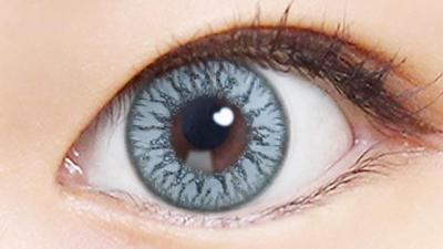 ロシアンブルー 装用画像