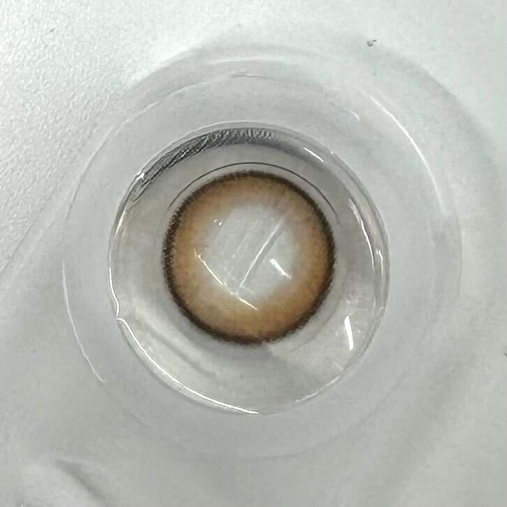 クラセスト ヌードアッシュロゼ(7)