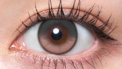 キュプリエ ロゼカメリア Rちゃん 装用画像