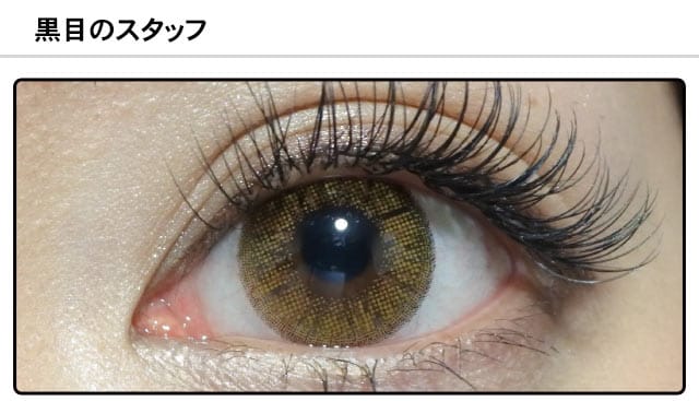 スタッフ0の装着画像