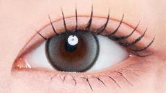 ラディリス ルーセントグレー