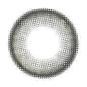 ラディリス ルーセントグレー