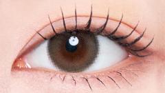 ラディリス ミラージュブルーム