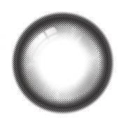 ワンデーリフレア エーアイ マグネティックグレー