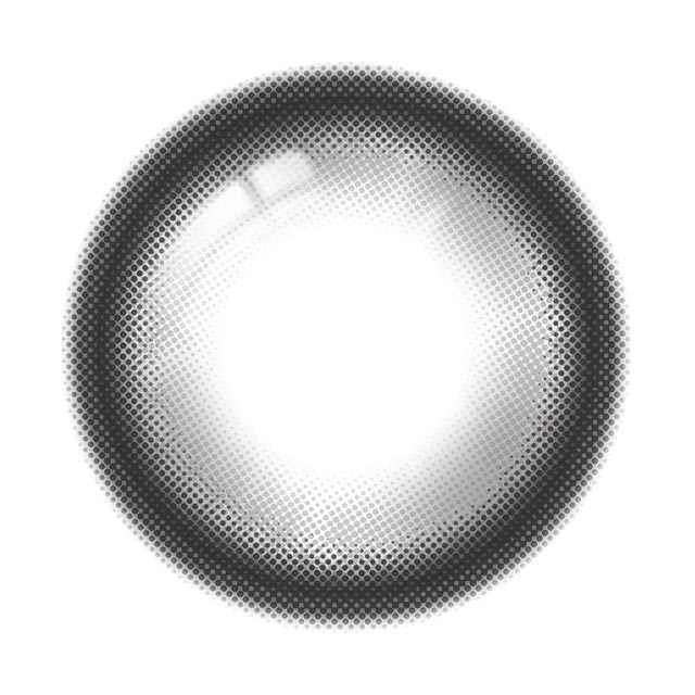 ワンデーリフレア エーアイ マグネティックグレー(3)