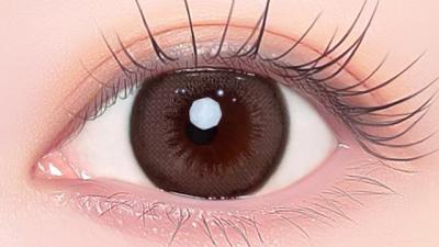 ノヴァグレージュ 装用画像