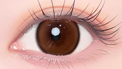 リファインドブラウン 装用画像