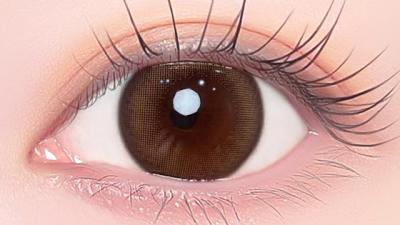 イエッピーブラウン 装用画像