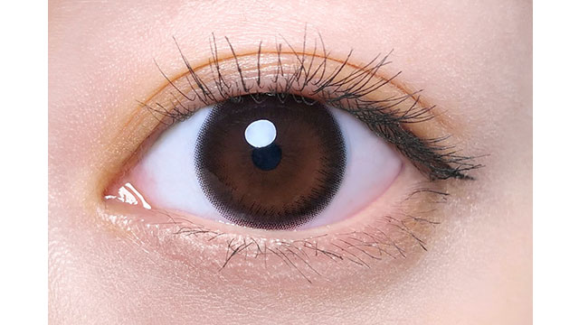 ワンデーリフレア エレベル エレガントブラック