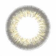 ワンデーリフレア エレベル ハーフブラウン