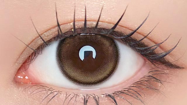 ワンデーリフレア アンローラ ルナンベージュの装用画像