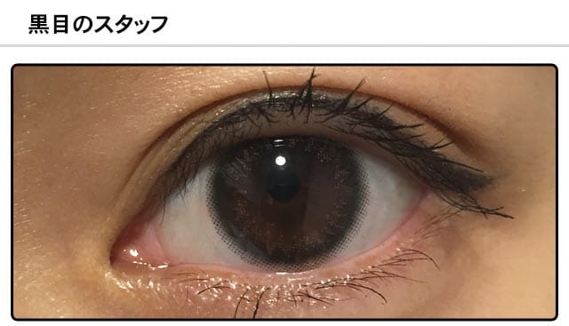 スタッフ1の装着画像