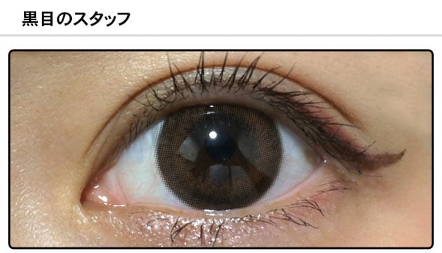 スタッフ1の装着画像