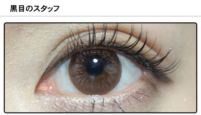 スタッフ0の装着画像