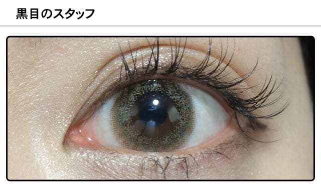 スタッフ0の装着画像