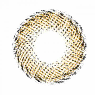 トーキョーブラウン レンズ画像