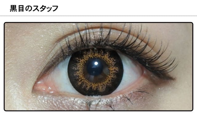 スタッフ0の装着画像