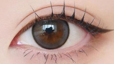 グレイトープ 装用画像