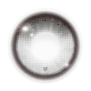 ロミュ アイシーパピヨン