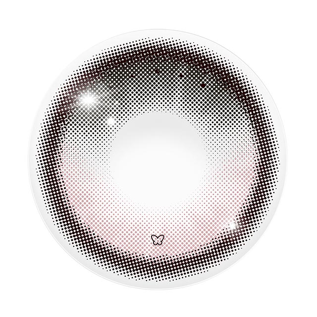 ロミュ ピンキーパピヨン(3)