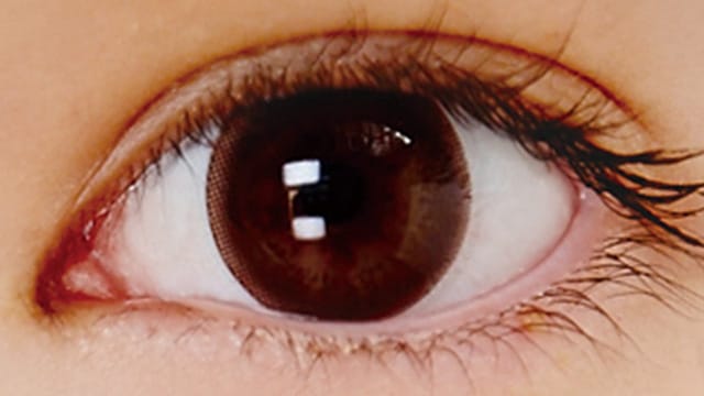 ブラウン 装用画像