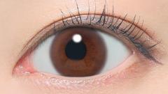 レヴィアワンデー(サークル) ヌイブラウン