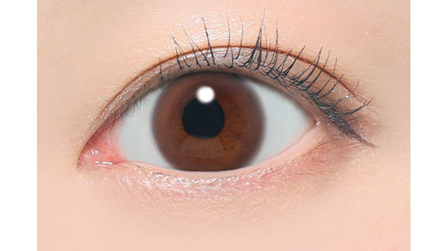 レヴィアワンデー(サークル) ヌイブラウン(2)