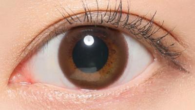 ブラウン 装用画像