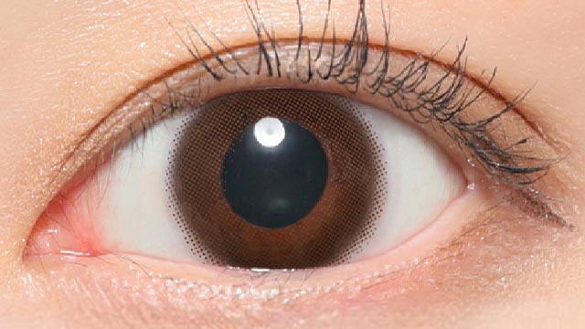 レヴィアカラコン ムースブラウンの装用画像