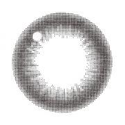 レヴィアワンマンス(サークル) ブラック