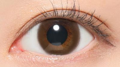 ブラウン 装用画像