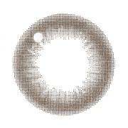 レヴィアワンマンス(サークル) ブラウン