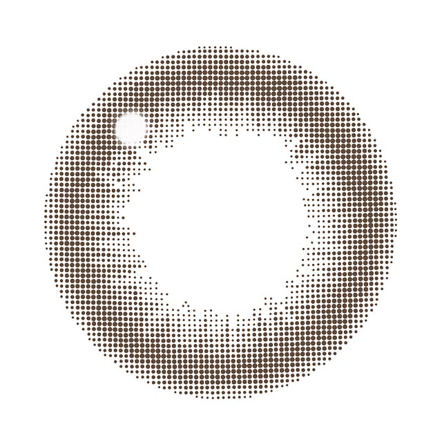 レヴィアワンマンス(サークル) ブラウン(3)