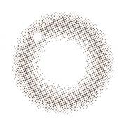 レヴィアワンマンス(サークル) ムースブラウン