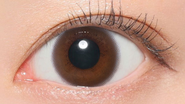 レヴィアワンデー(カラー) ムースブラウン 装用画像