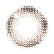 レヴィアワンマンス(サークル) シャイブラウン