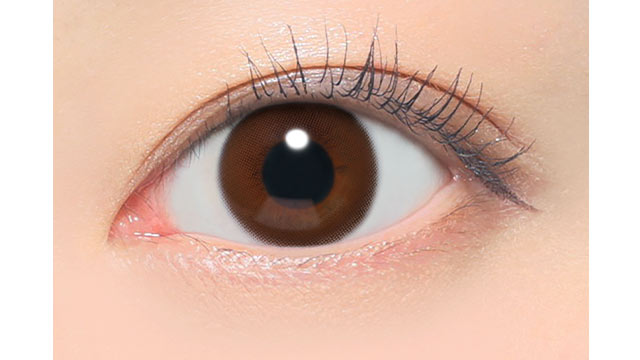 レヴィアワンマンス(サークル) シャイブラウン(2)