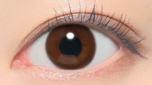 レヴィアワンデー(カラー) シャイブラウン 装用画像