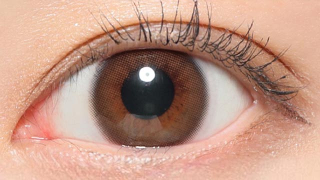 レヴィアカラコン メルティベアの装用画像