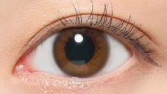 レヴィア ワンマンス メルティベア KIM CHAEWON (キム・チェウォン) 装用画像