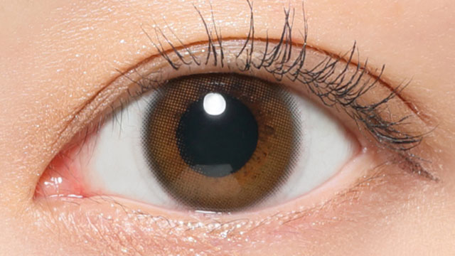 レヴィアワンデー(カラー) メルティベア 装用画像