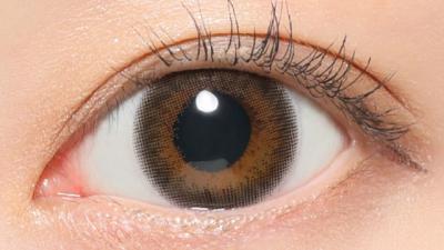 シアーセーブル 装用画像