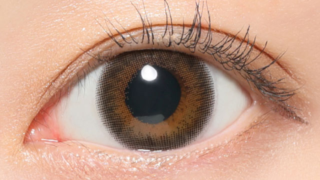 レヴィアワンデー(カラー) シアーセーブル 装用画像